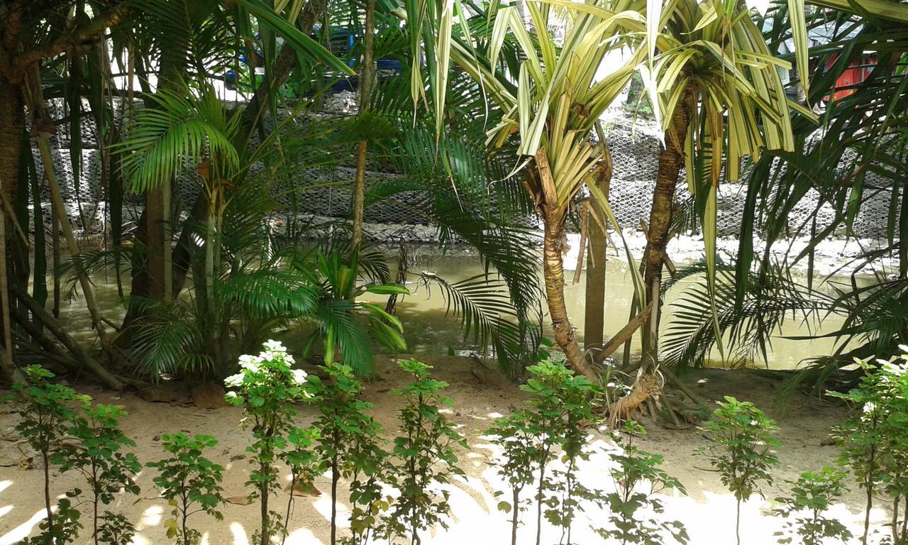 Ever Green Mirissa Luaran gambar