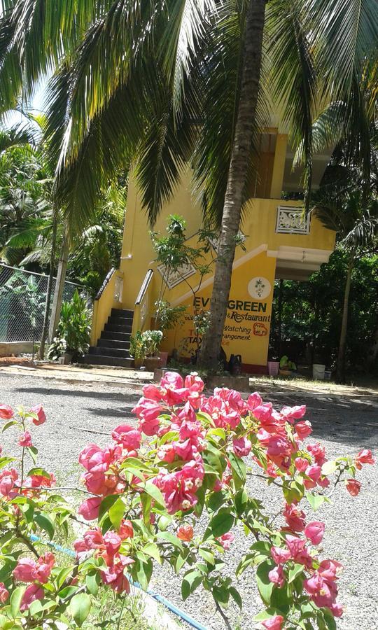 Ever Green Mirissa Luaran gambar