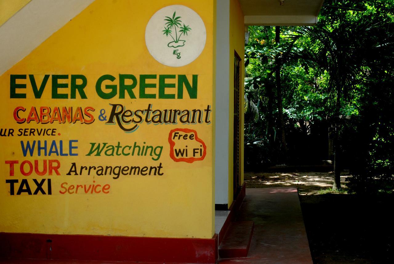 Ever Green Mirissa Luaran gambar