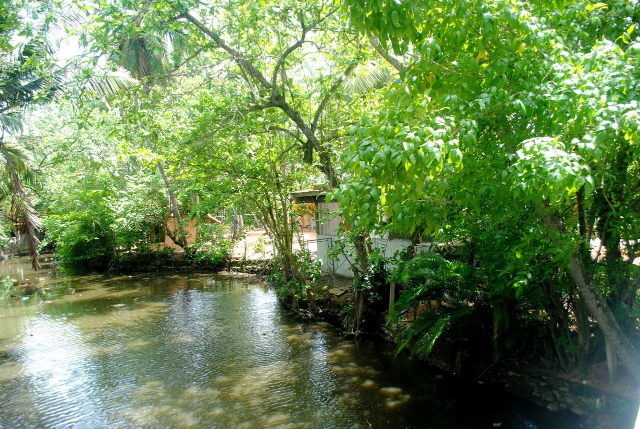 Ever Green Mirissa Luaran gambar