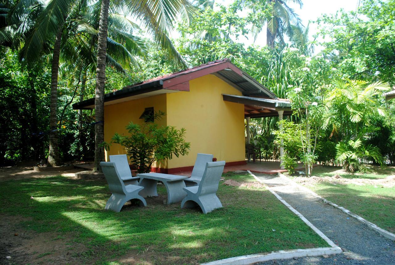 Ever Green Mirissa Luaran gambar
