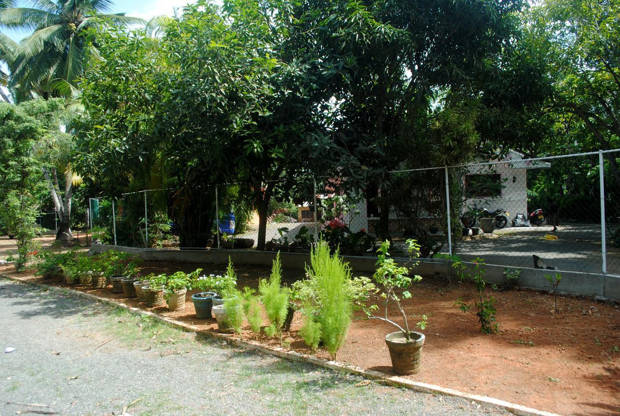 Ever Green Mirissa Luaran gambar