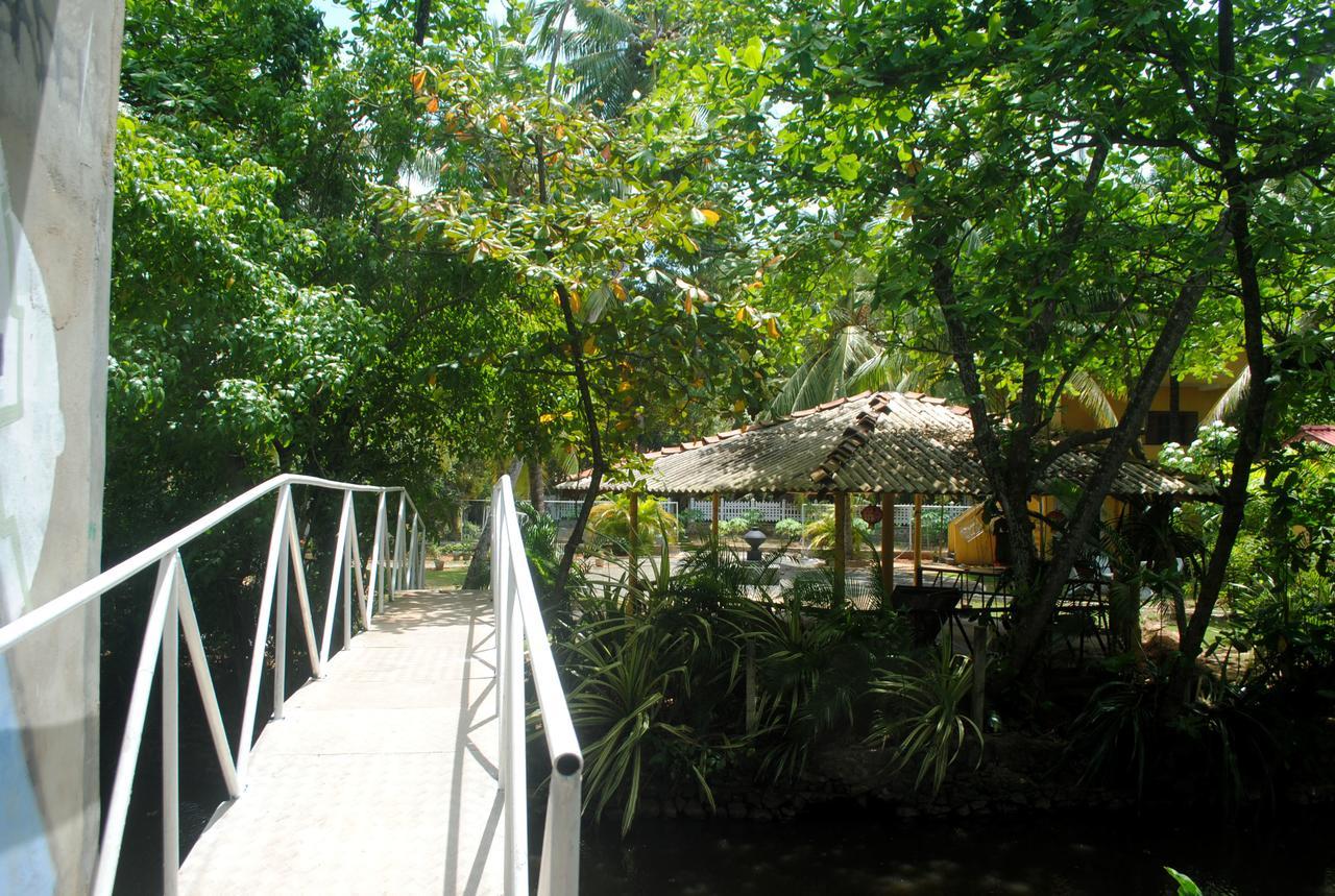 Ever Green Mirissa Luaran gambar