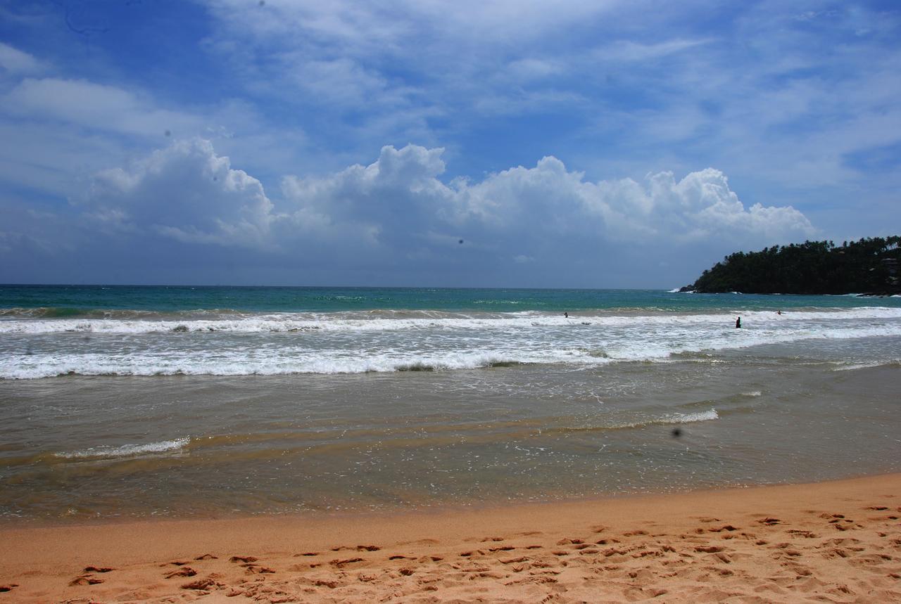 Ever Green Mirissa Luaran gambar