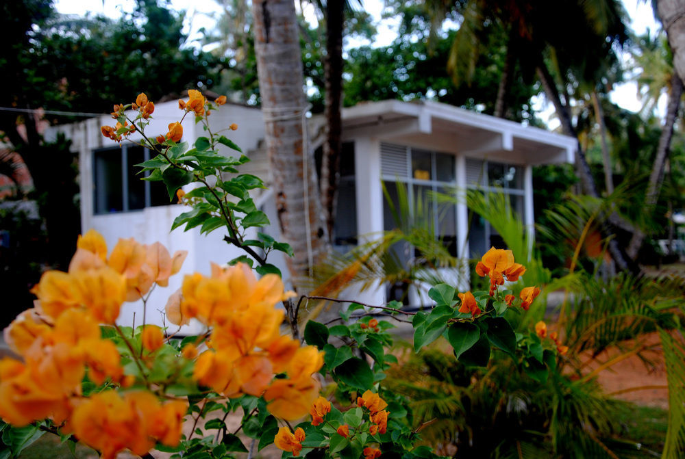 Ever Green Mirissa Luaran gambar