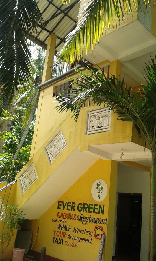 Ever Green Mirissa Bilik gambar