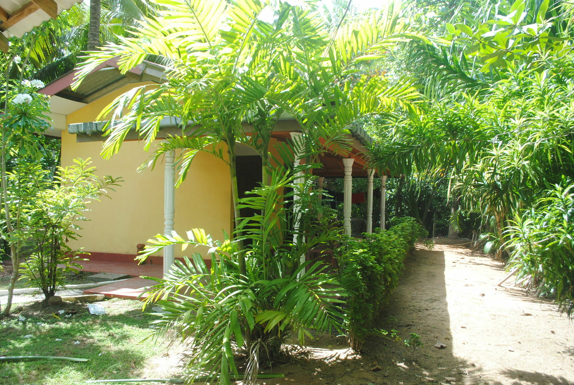 Ever Green Mirissa Luaran gambar